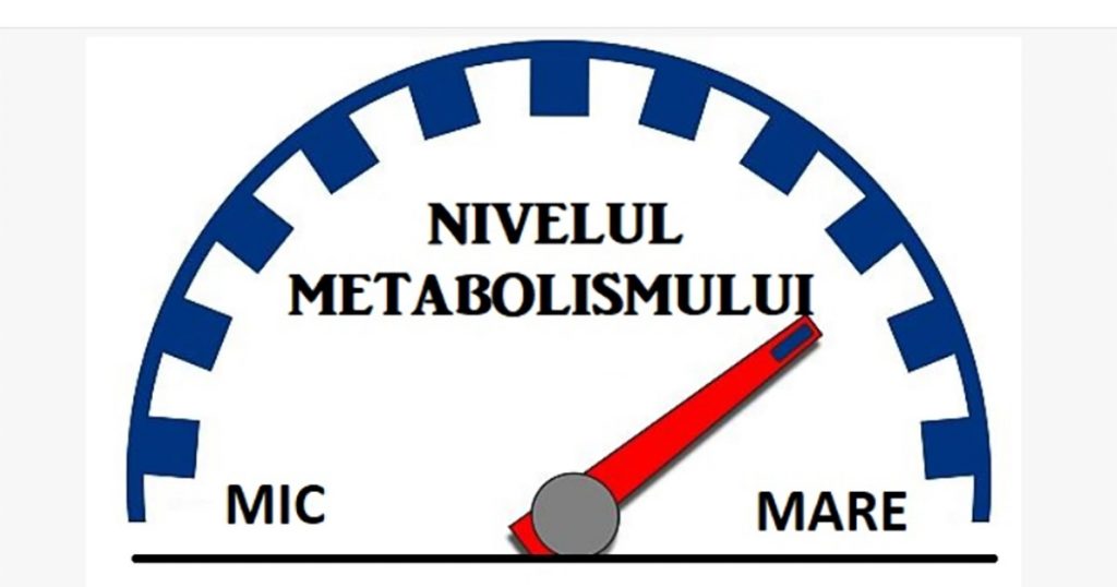 optimizare metabolism